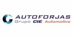 cliente-auto-forjas